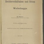 خرید و دانلود نسخه کامل کتاب Rechtsverhältnisse und Sitten der Wadschagga