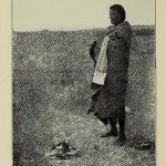 خرید و دانلود نسخه کامل کتاب The Cheyenne Indians, their history and ways of life