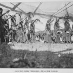 خرید و دانلود نسخه کامل کتاب The Cheyenne Indians, their history and ways of life