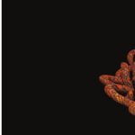 خرید و دانلود نسخه کامل کتاب The End of All Evil