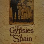خرید و دانلود نسخه کامل کتاب The Gypsies of Spain