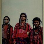 خرید و دانلود نسخه کامل کتاب The Gypsies
