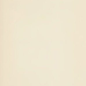 خرید و دانلود نسخه کامل کتاب The King’s Government and the Common Law, 1471-1641