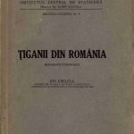 خرید و دانلود نسخه کامل کتاب Țiganii din România
