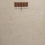 خرید و دانلود نسخه کامل کتاب Traditions of Indian Folk Dance