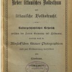 خرید و دانلود نسخه کامل کتاب Über litauisches Volkstum und litauische Volkstracht