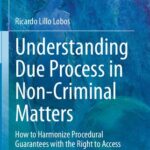 خرید و دانلود نسخه کامل کتاب Understanding Due Process in Non-Criminal Matters: How to Harmonize Procedural Guarantees with the Right to Access to Justice