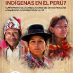 خرید و دانلود نسخه کامل کتاب ¿Y los Pueblos Indígenas en el Perú? Cumplimiento de las obligaciones del Estado peruano a 30 años del Convenio 169 de la OIT