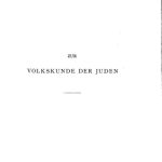 خرید و دانلود نسخه کامل کتاب Zur Volkskunde der Juden