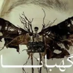 خرید و دانلود فیلم ترسناک نگهبانان دوبله فارسی - The Watchers 2025 - فیلم ترسناک جدید