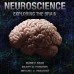 خرید و دانلود فایل کتاب Neuroscience: Exploring the Brain 5th Edition - PDF | سورنا بوک