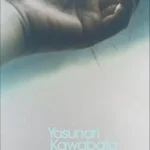 خرید و دانلود نسخه کامل کتاب صوتی انگلیسی زیبایی و اندوه، اثر یاسوناری کاواباتا Beauty and Sadness by Yasunari Kawabata