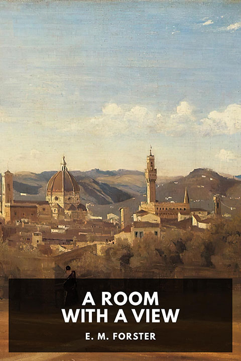 A Room with a View by E. M. Forster_6a08a6ad8f741.jpeg خرید و دانلود نسخه کامل کتاب صوتی انگلیسی اتاقی با یک چشمانداز، اثر ای. ام. فورستر A Room with a View by E. M. Forster - تصویر 1