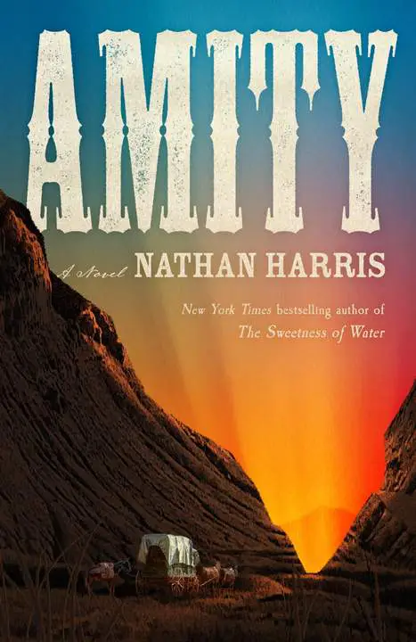 Amity by Nathan Harris_6a1852f04e7ed.webp خرید و دانلود نسخه کامل کتاب صوتی انگلیسی آمیتی، اثر نیتن هریس Amity by Nathan Harris - تصویر 1