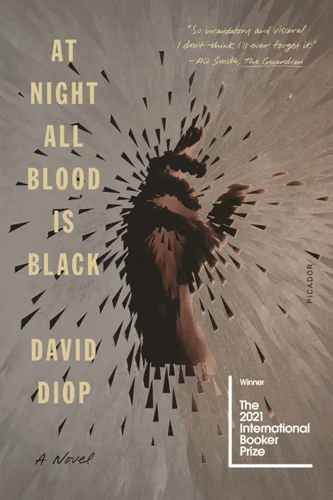 At Night All Blood Is Black by David Diop_6a16b8d905c9f.webp خرید و دانلود نسخه کامل کتاب صوتی انگلیسی شبها تمام خونها سیاه است، اثر دیوید دیوپ At Night All Blood Is Black by David Diop - تصویر 1