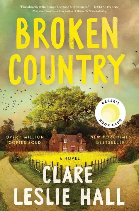 Broken Country by Clare Leslie Hall_6a18541a1243d.webp خرید و دانلود نسخه کامل کتاب صوتی انگلیسی سرزمینِ ویران، اثر کلر لسلی هال Broken Country by Clare Leslie Hall - تصویر 1