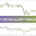 خرید و دانلود اندیکاتور تشخیص تغییر مومنتوم با تقاطع دو RSI همراه با هشدار (2 RSI Cross Alert Indicator): اندیکاتور هشدار تقاطع 2 RSI برای MT4