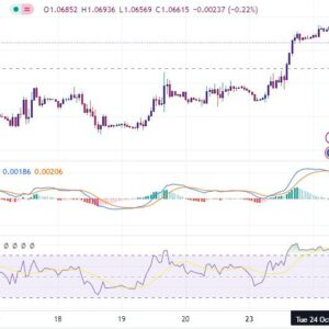 خرید و دانلود اندیکاتور تشخیص واگرایی مثبت و منفی در تریدینگ ویو با نام های MACD and RSI