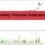 خرید و دانلود اندیکاتور حجم معاملات فارکس با نام Hawkeye Volume Indicator در متاتریدر4