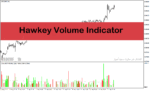 خرید و دانلود اندیکاتور حجم معاملات فارکس با نام Hawkeye Volume Indicator در متاتریدر4