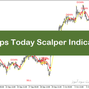 خرید و دانلود اندیکاتور مخصوص اسکالپ با نام 100 Pips Today Scalper Indicator در متاتریدر4