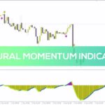 خرید و دانلود اندیکاتور مومنتوم طبیعی برای متاتریدر 4: شناسایی تغییرات مومنتوم بازار با استفاده از هموارسازی پیشرفته و سطوح سود/ضرر قابل تنظیم (Natural Momentum Indicator)