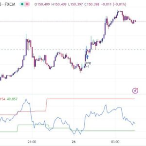 خرید و دانلود بهترین اندیکاتور اسکالپ تریدینگ ویو با نام های Aggresive Scalper Strategy & RSI-Dynamic
