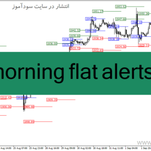خرید و دانلود دانلود اندیکاتور باز شدن بازار برای متاتریدر4 با نام morning flat alerts