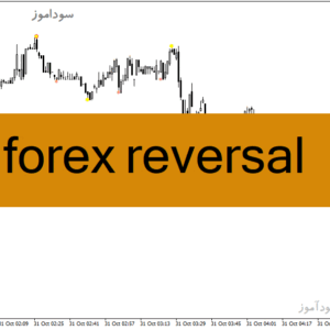 خرید و دانلود دانلود اندیکاتور برای فارکس مخصوص متاتریدر4 با نام forex reversal