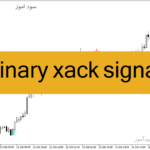خرید و دانلود دانلود اندیکاتور سیگنال دهی باینری برای متاتریدر4 با نام binary xack signal