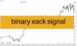 خرید و دانلود دانلود اندیکاتور سیگنال دهی باینری برای متاتریدر4 با نام binary xack signal