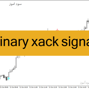 خرید و دانلود دانلود اندیکاتور سیگنال دهی باینری برای متاتریدر4 با نام binary xack signal