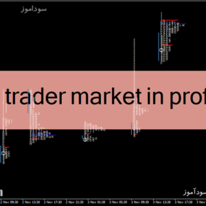 خرید و دانلود دانلود اندیکاتور مارکت پروفایل برای متاتریدر4 با نام day trader market in profile