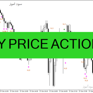 خرید و دانلود دانلود اندیکاتور پرایس اکشن برای متاتریدر4 با نام MY PRICE ACTION