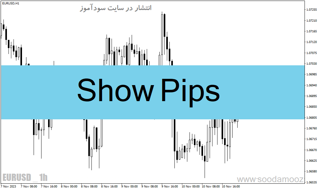 d8aed8b1db8cd8af-d988-d8afd8a7d986d984d988d8af-d8afd8a7d986d984d988d8af-d8a7d986d8afdb8cdaa9d8a7d8aad988d8b1-daa9d986d8afd984-d8aad8a7_68e1ac1807a7b.gif خرید و دانلود دانلود اندیکاتور کندل تایم و اسپرد برای متاتریدر4 با نام Show Pips - تصویر 1