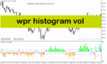خرید و دانلود دانلود بهترین اندیکاتور اسکالپ برای متاتریدر5 با نام wpr histogram vol