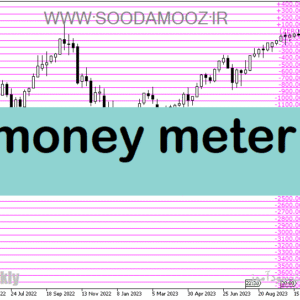 خرید و دانلود دانلود بهترین اندیکاتور برای فارکس مخصوص متاتریدر5 با نام money meter
