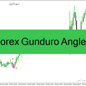 خرید و دانلود دانلود بهترین اندیکاتور برای سیگنال خرید و فروش برای متاتریدر4 با نام Forex Gunduro Angle