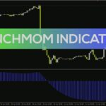 خرید و دانلود شناسایی مومنتوم و پتانسیل بازگشت بازار با هیستوگرام مبتنی بر EMA و SMA در اندیکاتور iAnchMom برای MT4