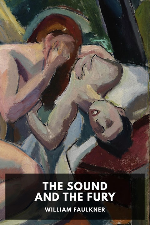 The Sound and the Fury by William Faulkner_6a09c89d61b3b.jpeg خرید و دانلود نسخه کامل کتاب صوتی انگلیسی خشم و هیاهو، اثر ویلیام فاکنر The Sound and the Fury by William Faulkner - تصویر 1
