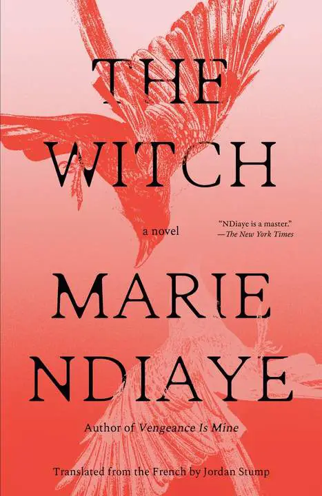 The Witch by Marie NDiaye_6a18a43f30c56.webp خرید و دانلود نسخه کامل کتاب صوتی انگلیسی جادوگر، اثر ماری اندیای The Witch by Marie NDiaye - تصویر 1