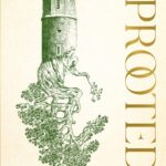 خرید و دانلود نسخه کامل کتاب صوتی انگلیسی ریشه‌کن شده، اثر نائومی نوویک Uprooted by Naomi Novik