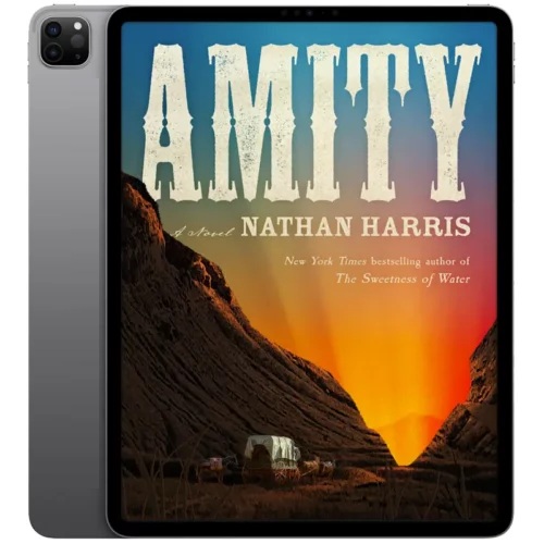 Amity-500x500 خرید و دانلود نسخه کامل کتاب انگلیسی Amity 2025 - تصویر 1