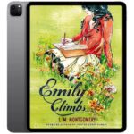 خرید و دانلود نسخه کامل کتاب انگلیسی Emily Climbs 2014