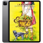 خرید و دانلود نسخه کامل کتاب انگلیسی Emily of New Moon 2014
