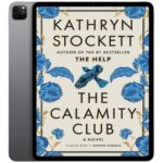 خرید و دانلود نسخه کامل کتاب انگلیسی The Calamity Club 2026