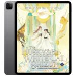 خرید و دانلود نسخه کامل کتاب انگلیسی The Husky and His White Cat Shizun جلد چهارم
