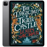 خرید و دانلود نسخه کامل کتاب انگلیسی The Magician of Tiger Castle 2025