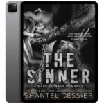 خرید و دانلود نسخه کامل کتاب انگلیسی The Sinner 2022