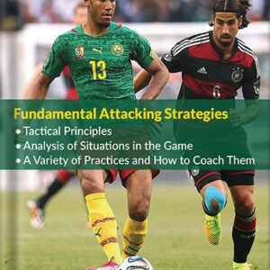 خرید و دانلود نسخه کامل کتاب Fundamental Attacking Strategies (German Top Level Tactics Book 1) by Steven Turek PDF